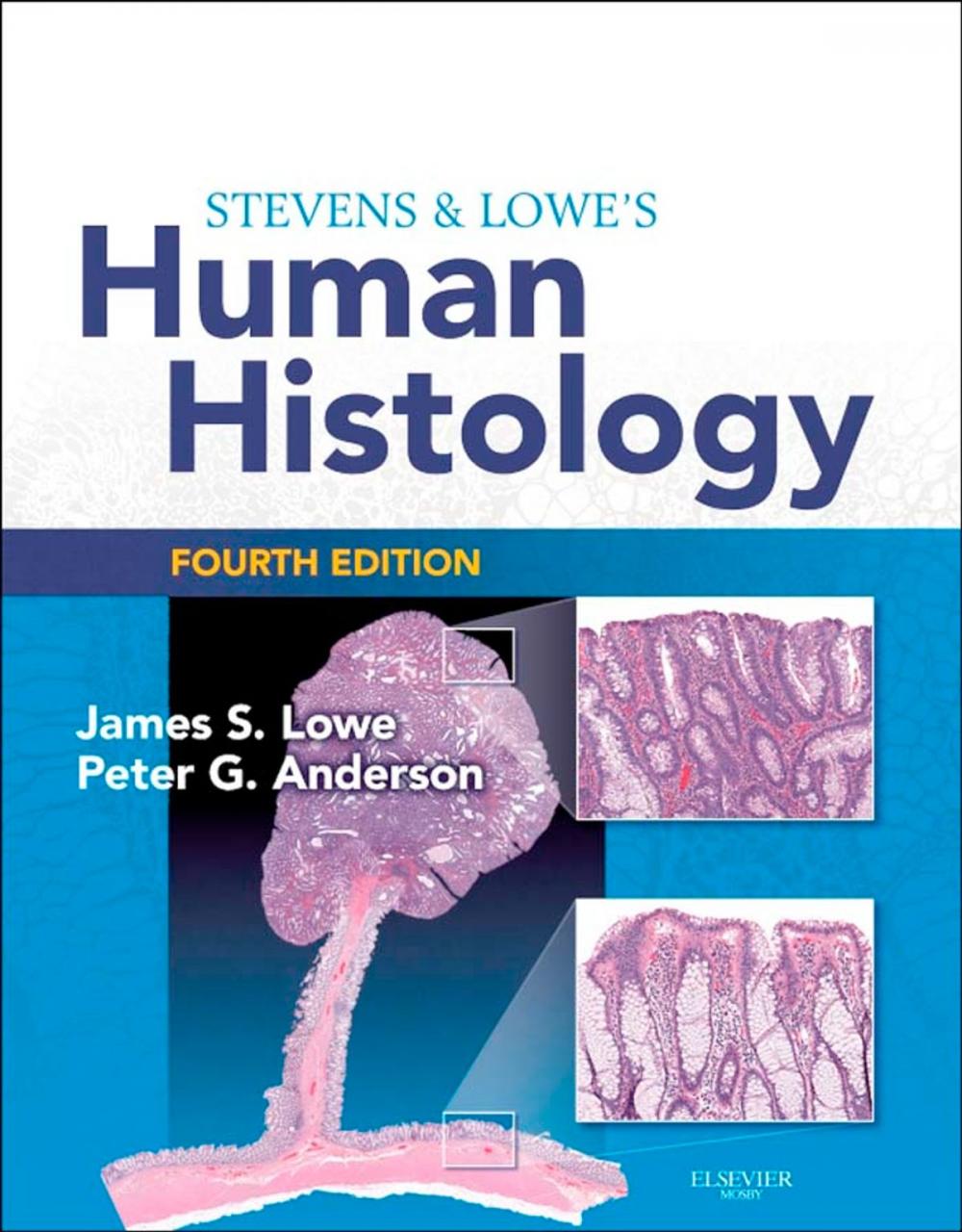 Big bigCover of Stevens & Lowe's Human Histology E-Book