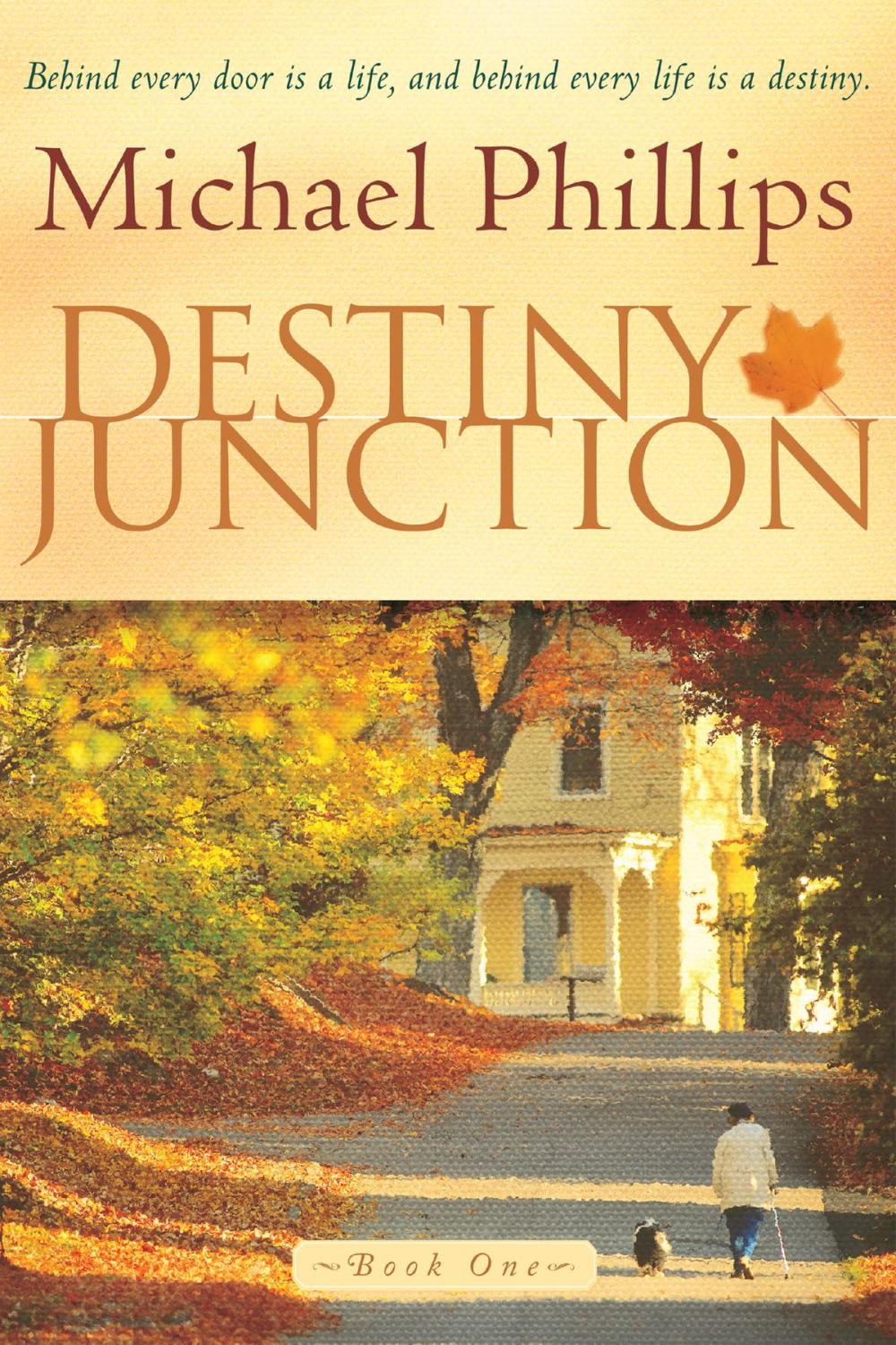 Big bigCover of Destiny Junction