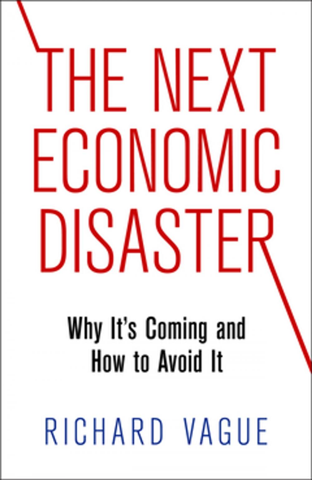 Big bigCover of The Next Economic Disaster