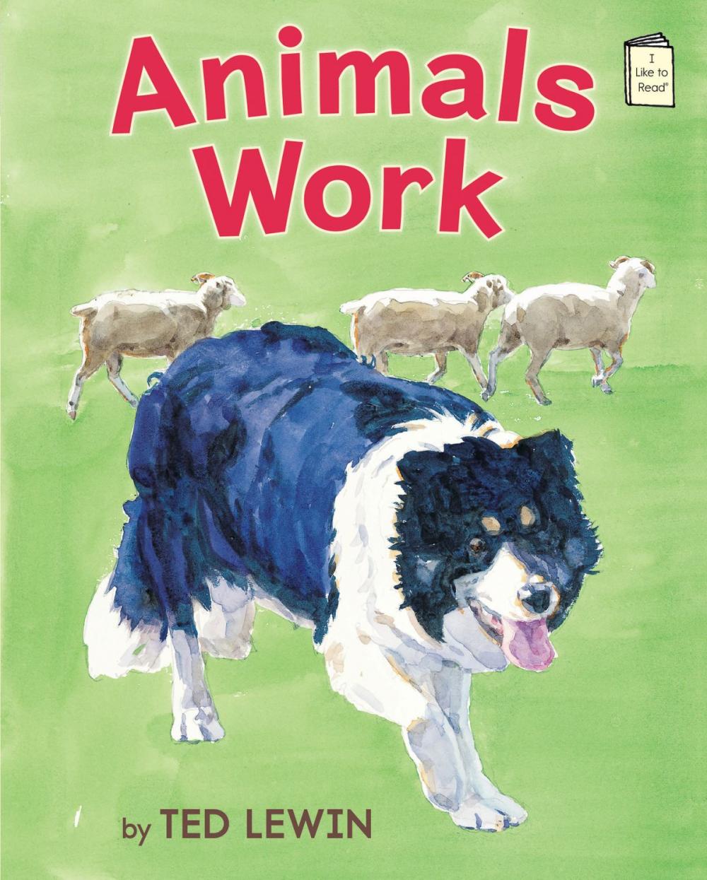 Big bigCover of Animals Work