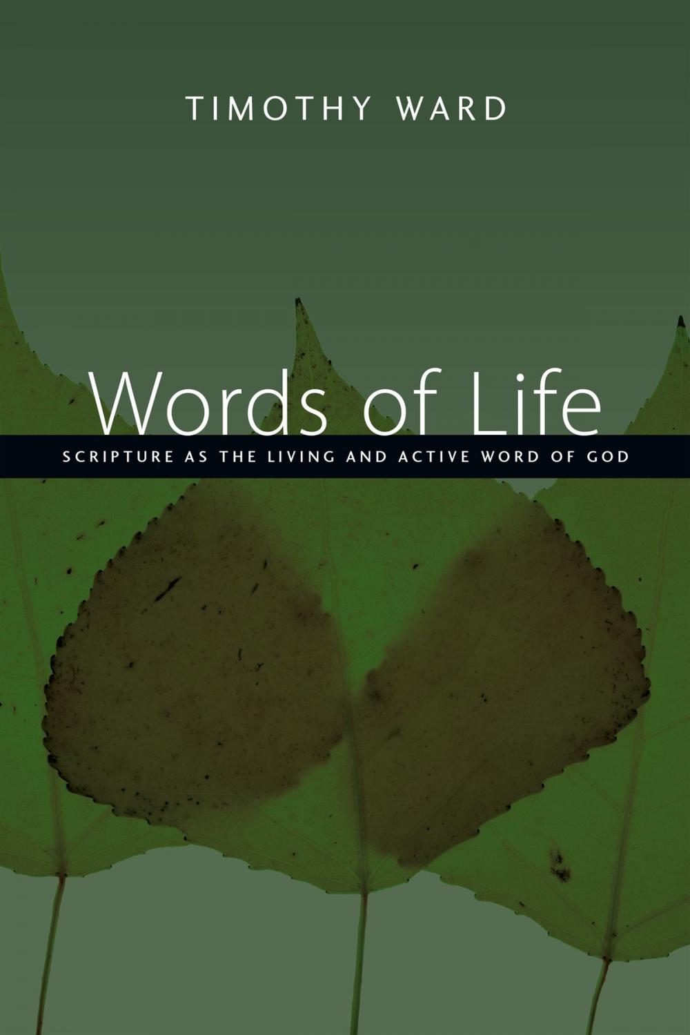 Big bigCover of Words of Life