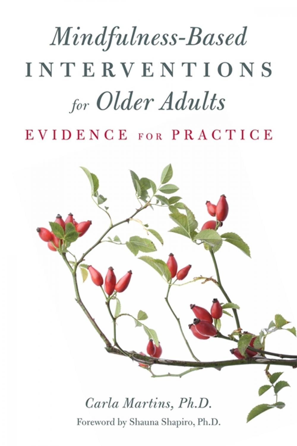 Big bigCover of Mindfulness-Based Interventions for Older Adults