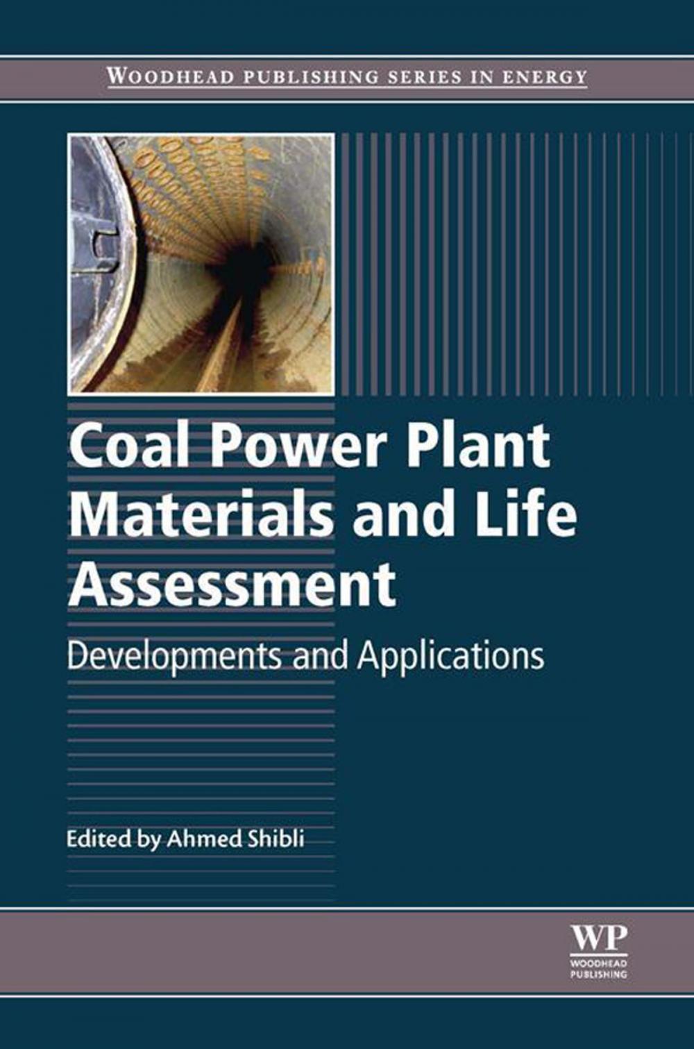 Big bigCover of Coal Power Plant Materials and Life Assessment