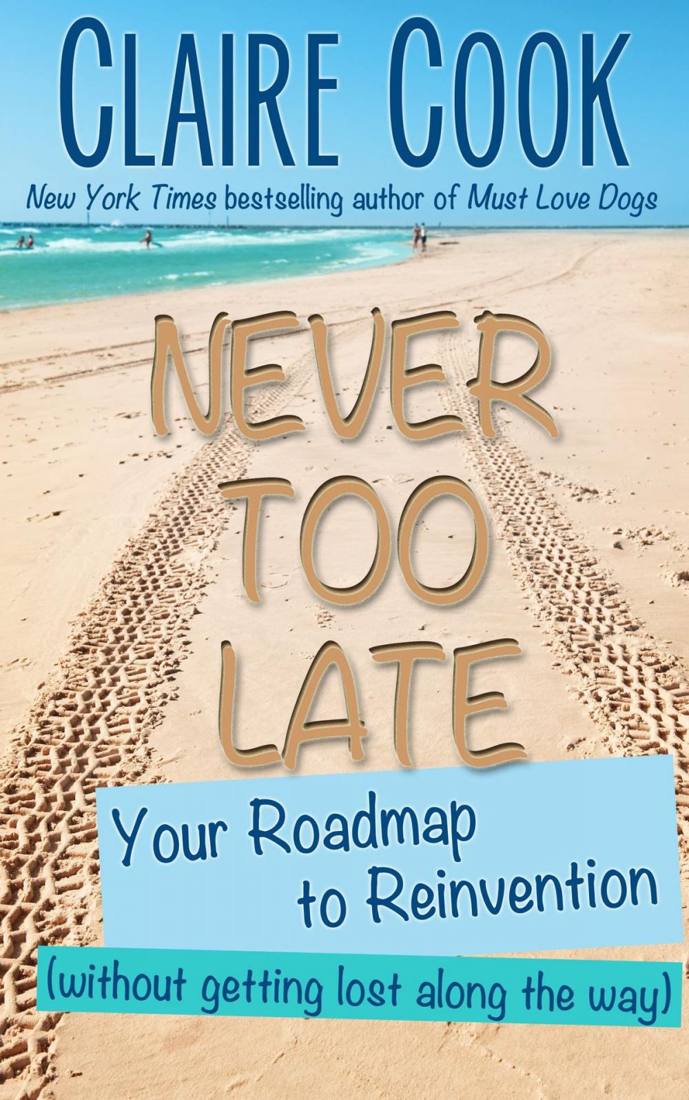 Big bigCover of Never Too Late: Your Roadmap to Reinvention (without getting lost along the way)