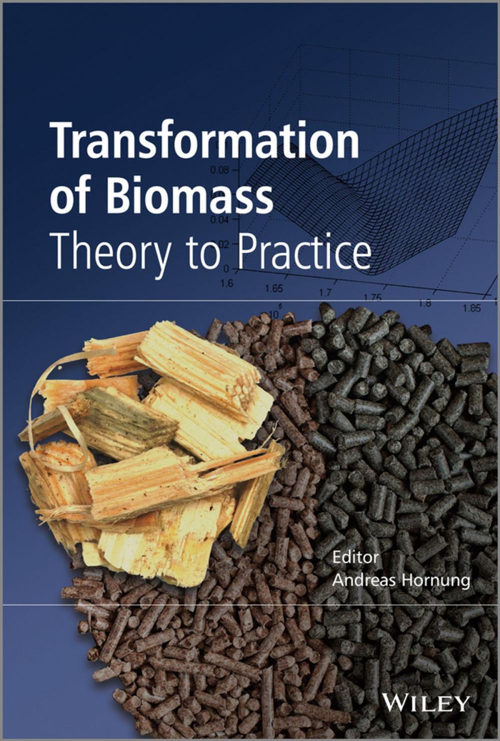 Big bigCover of Transformation of Biomass