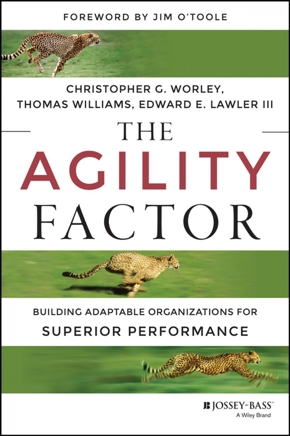 Big bigCover of The Agility Factor