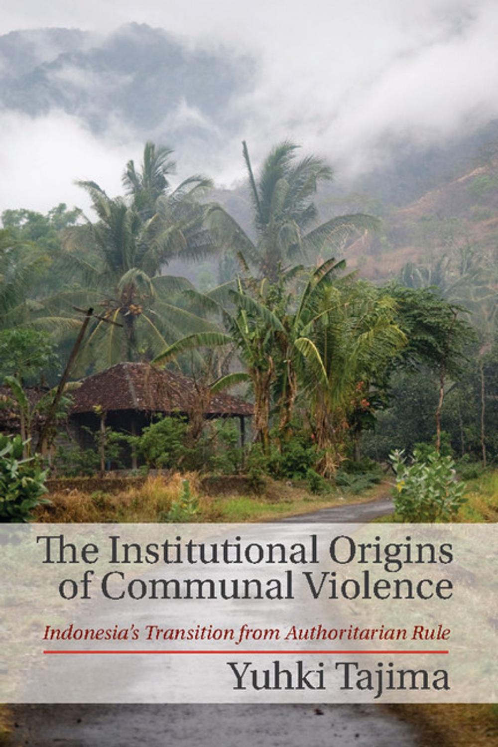 Big bigCover of The Institutional Origins of Communal Violence