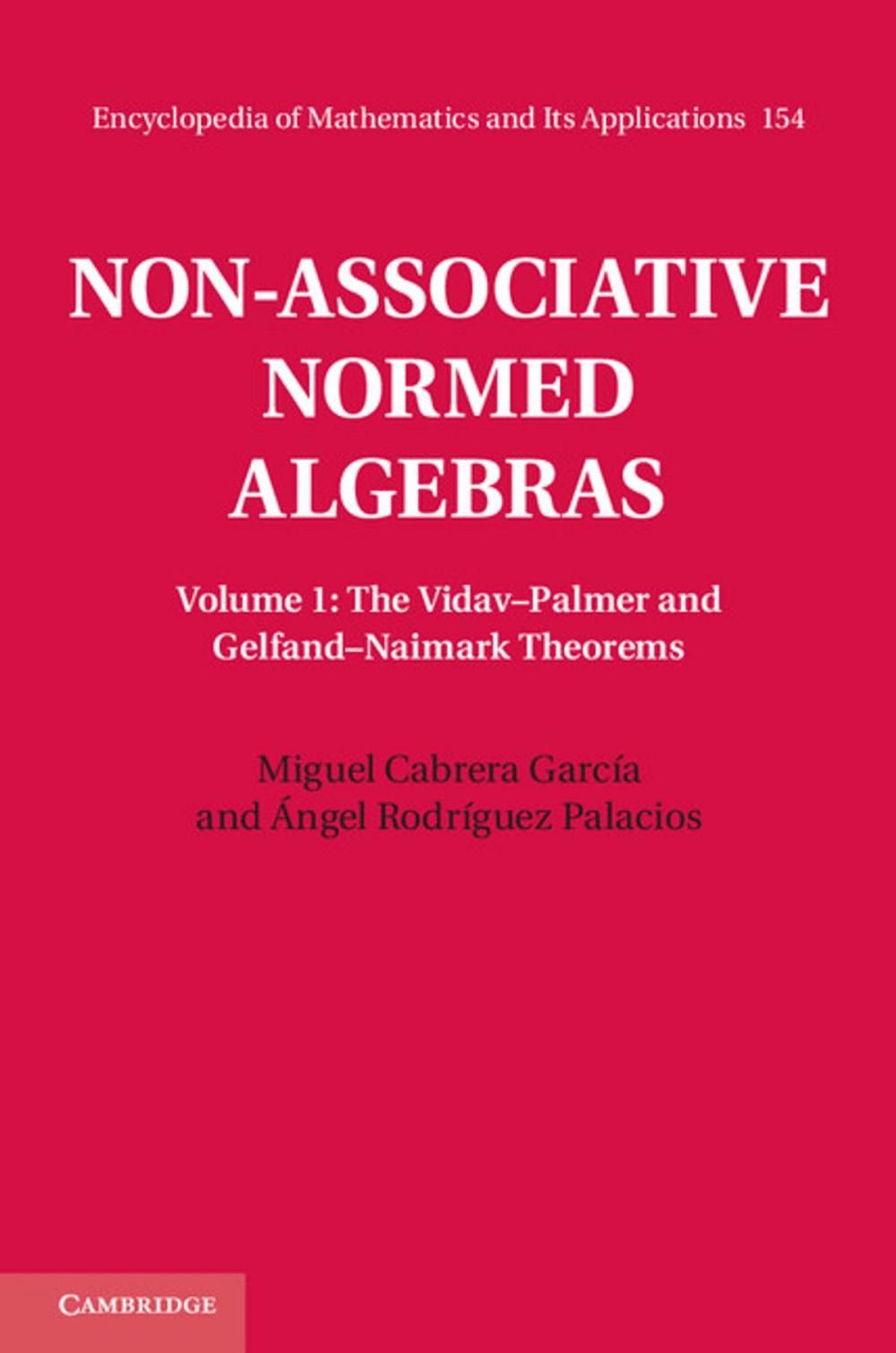 Big bigCover of Non-Associative Normed Algebras: Volume 1, The Vidav–Palmer and Gelfand–Naimark Theorems