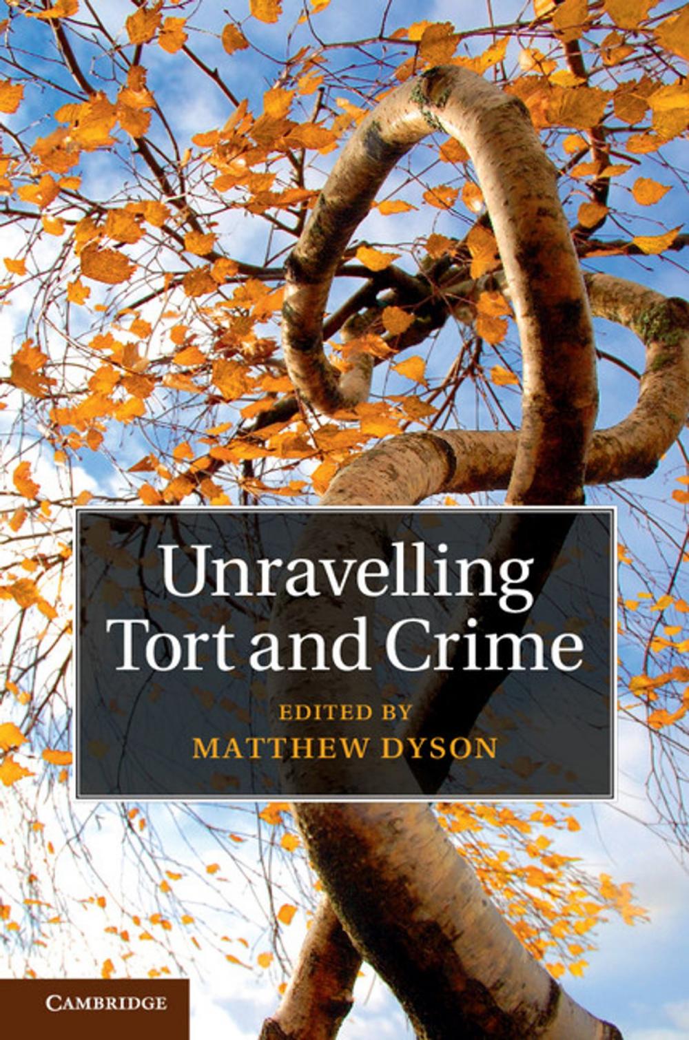 Big bigCover of Unravelling Tort and Crime