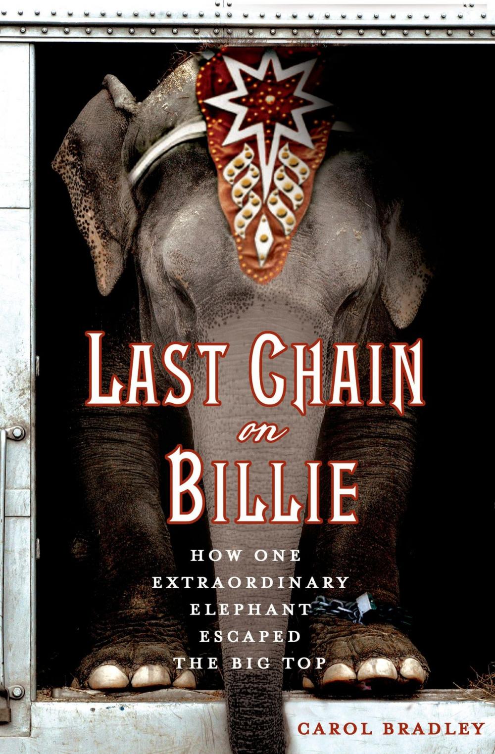 Big bigCover of Last Chain On Billie