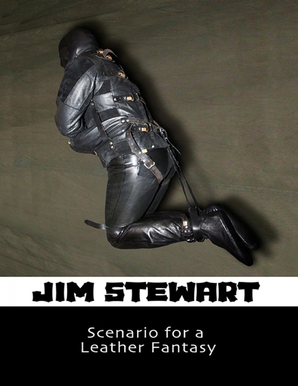 Big bigCover of Scenario for a Leather Fantasy