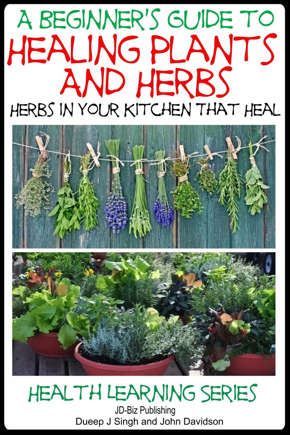 Big bigCover of A Beginner’s Guide to Healing Plants and Herbs: Herbs in Your Kitchen that Heal