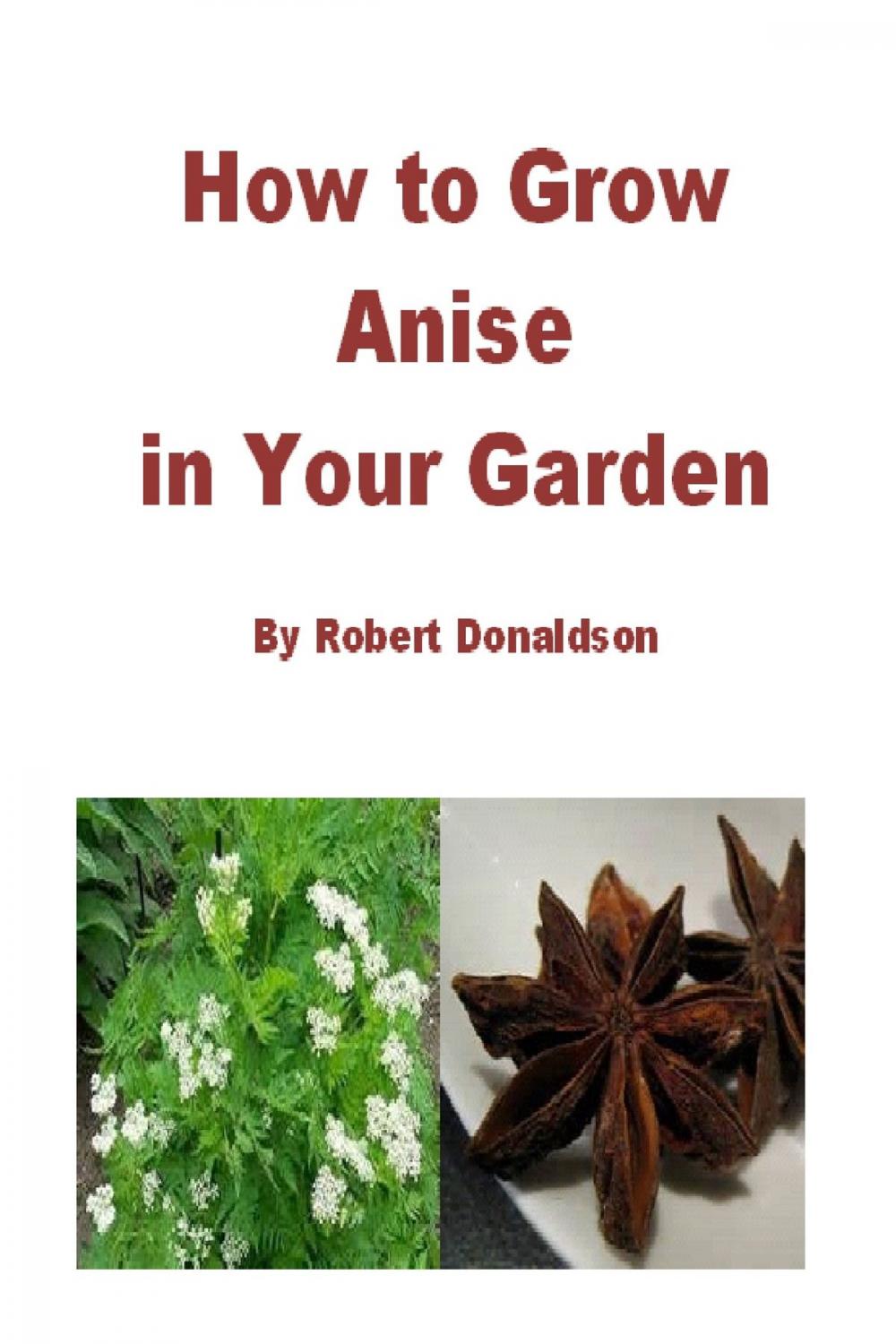 Big bigCover of How to Grow Anise in Your Garden