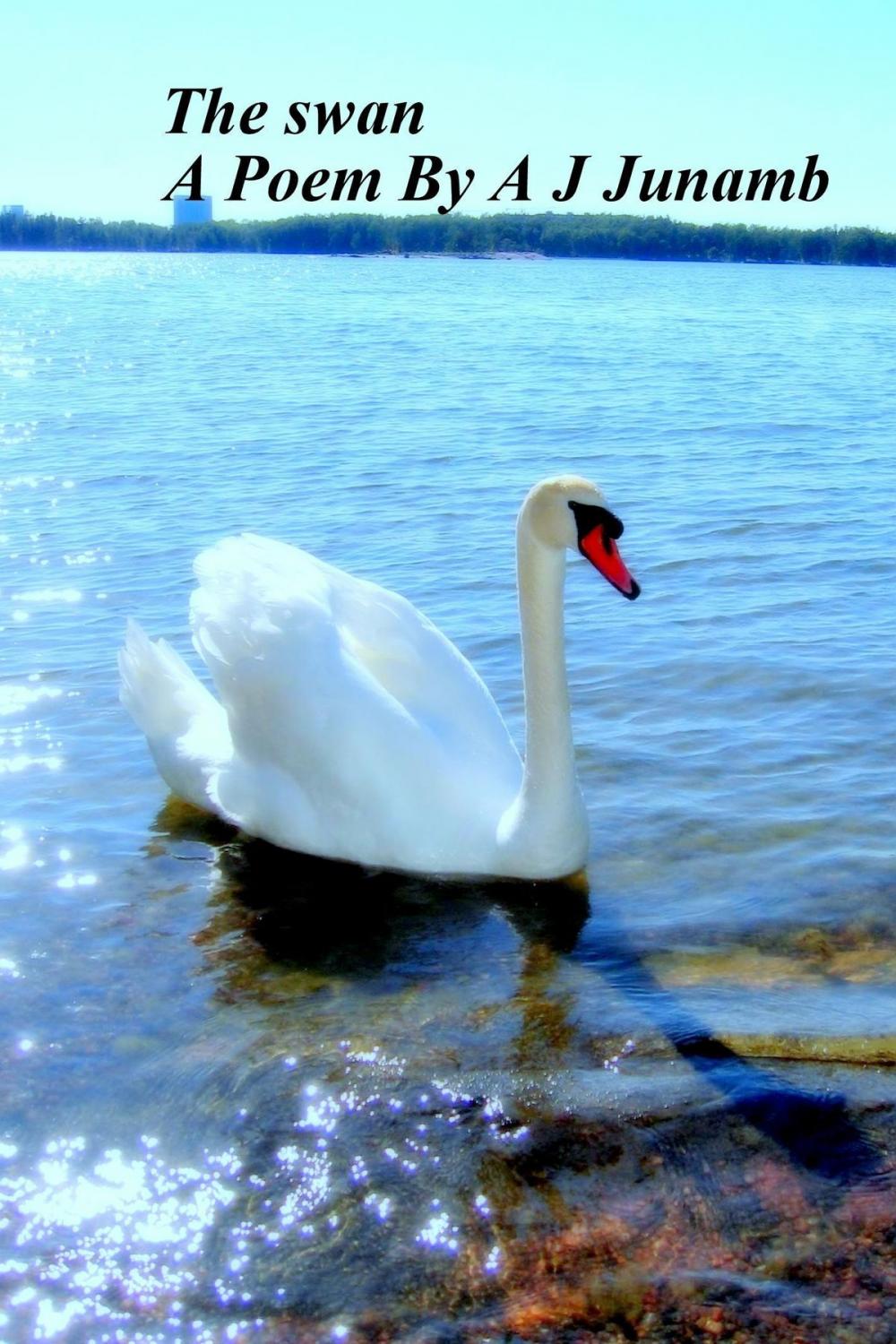 Big bigCover of Poem: The Swan