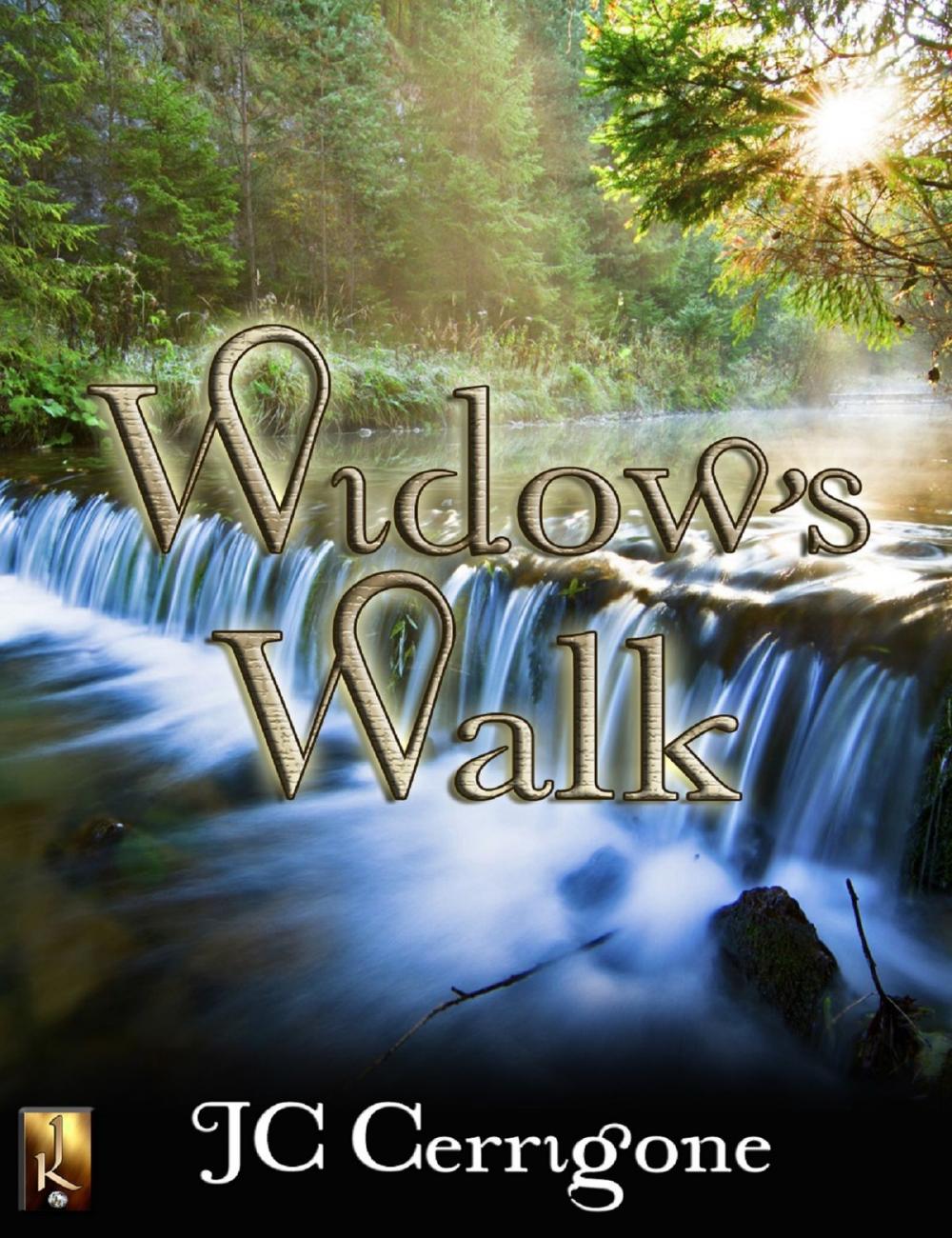 Big bigCover of Widow's Walk