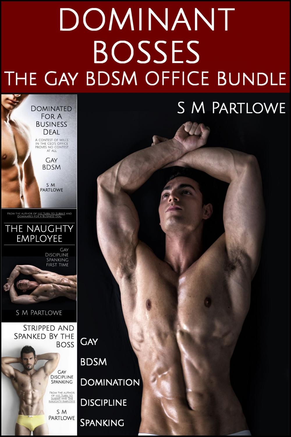 Big bigCover of Dominant Bosses: The Gay BDSM Office Bundle (Gay, BDSM, Domination, Discipline, Spanking)