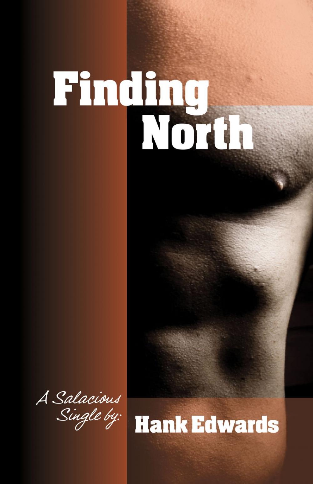 Big bigCover of Finding North