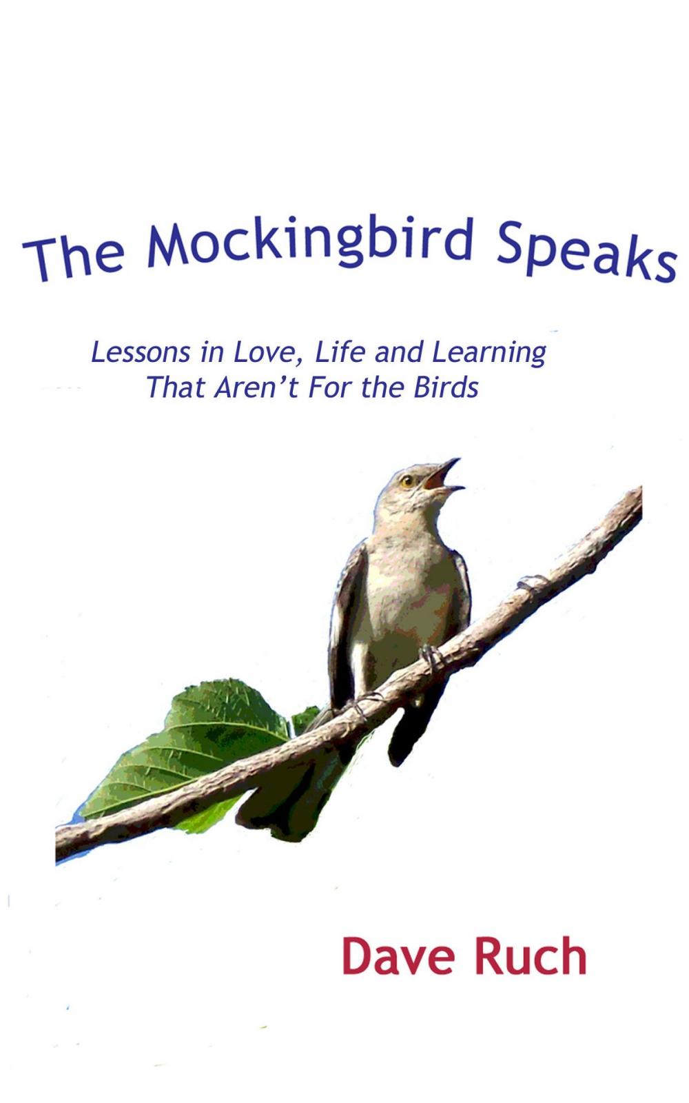 Big bigCover of The Mockingbird Speaks