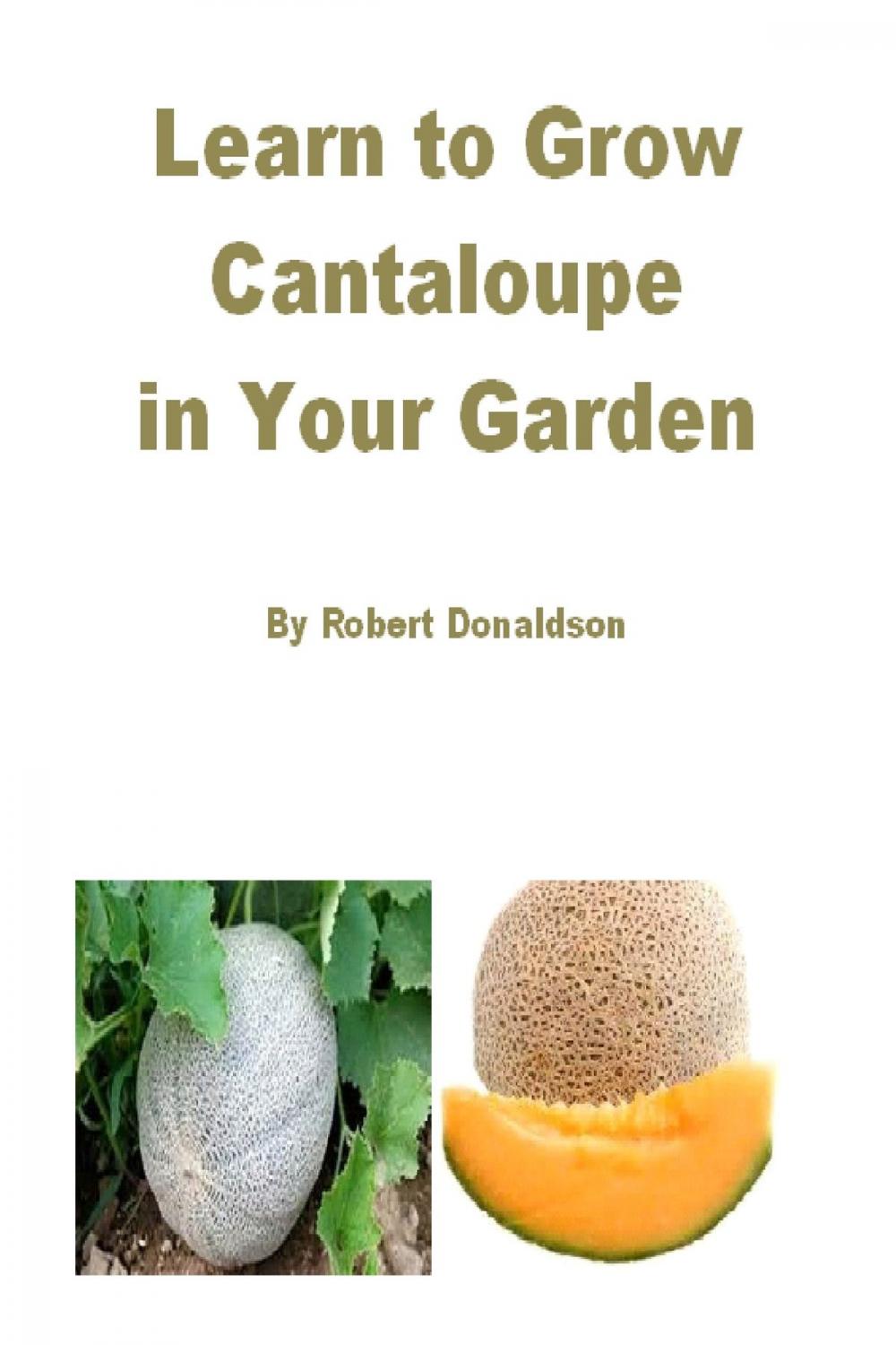 Big bigCover of Learn to Grow Cantaloupe in Your Garden