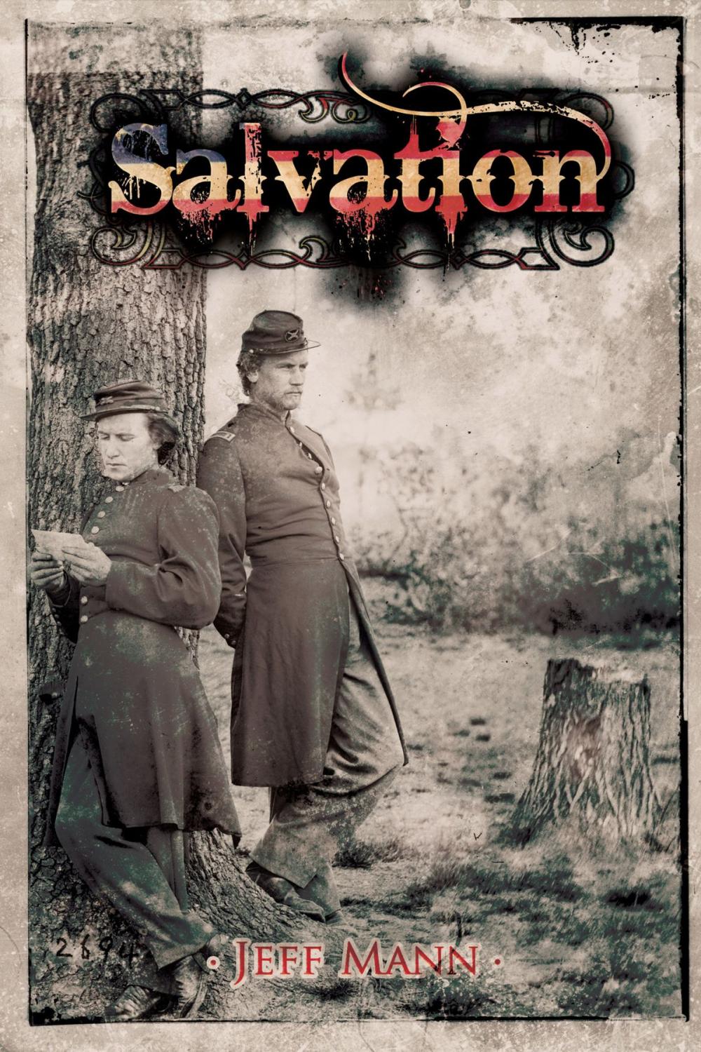 Big bigCover of Salvation: A Novel of the Civil War