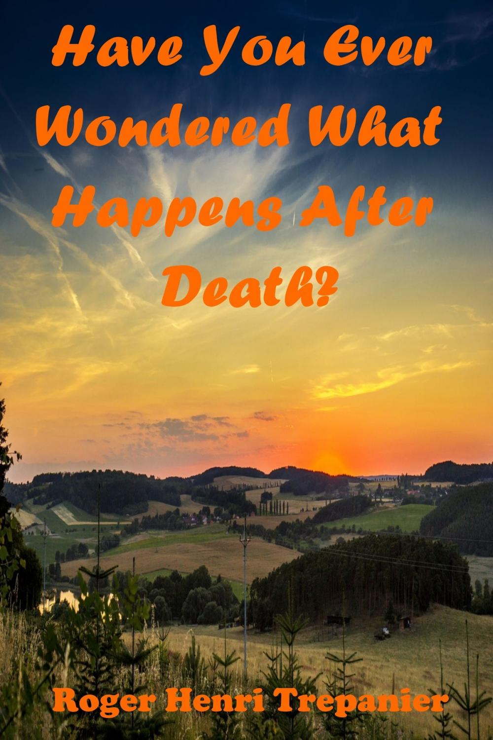 Big bigCover of Have You Ever Wondered What Happens After Death?