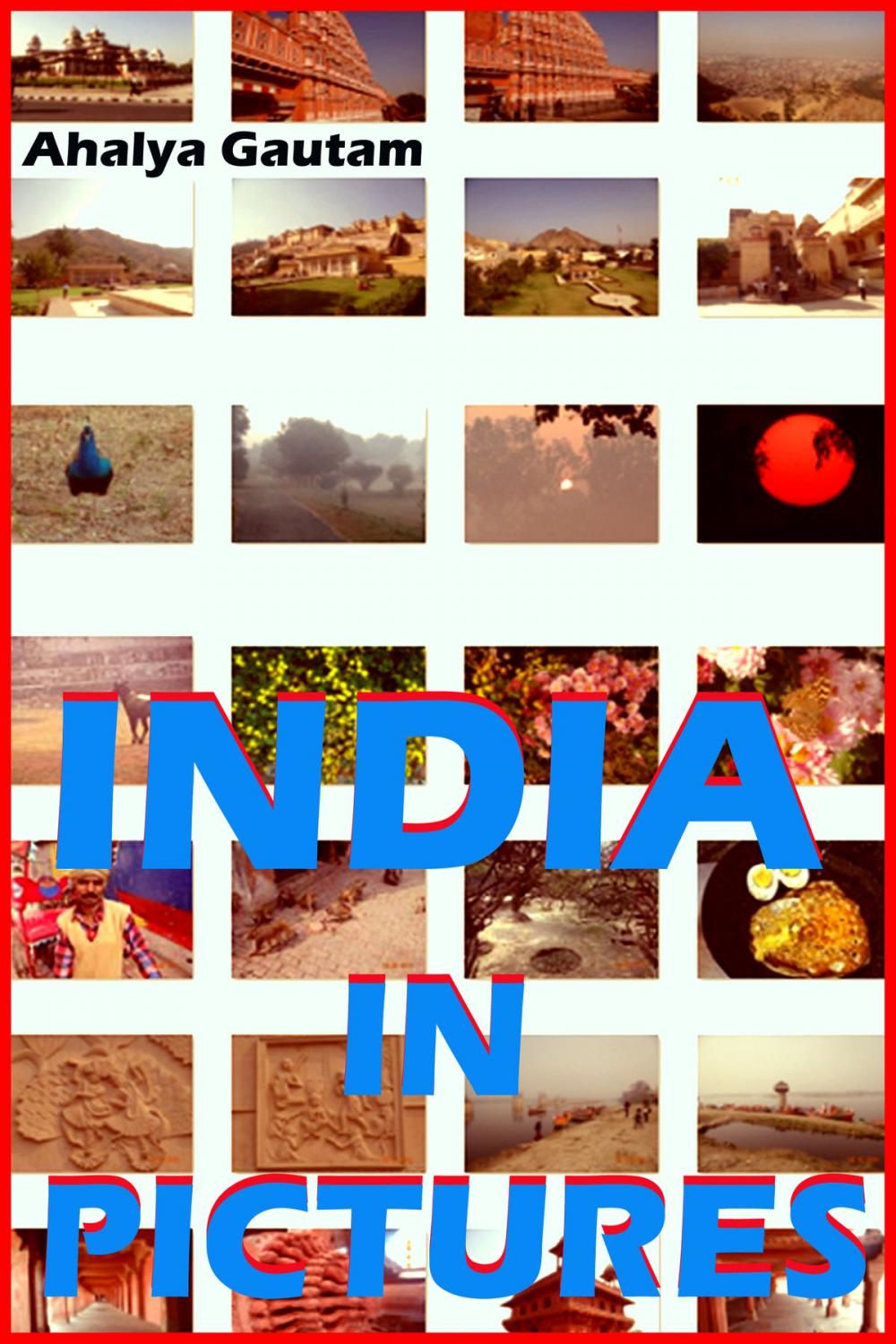 Big bigCover of India In Pictures (A photo Book)