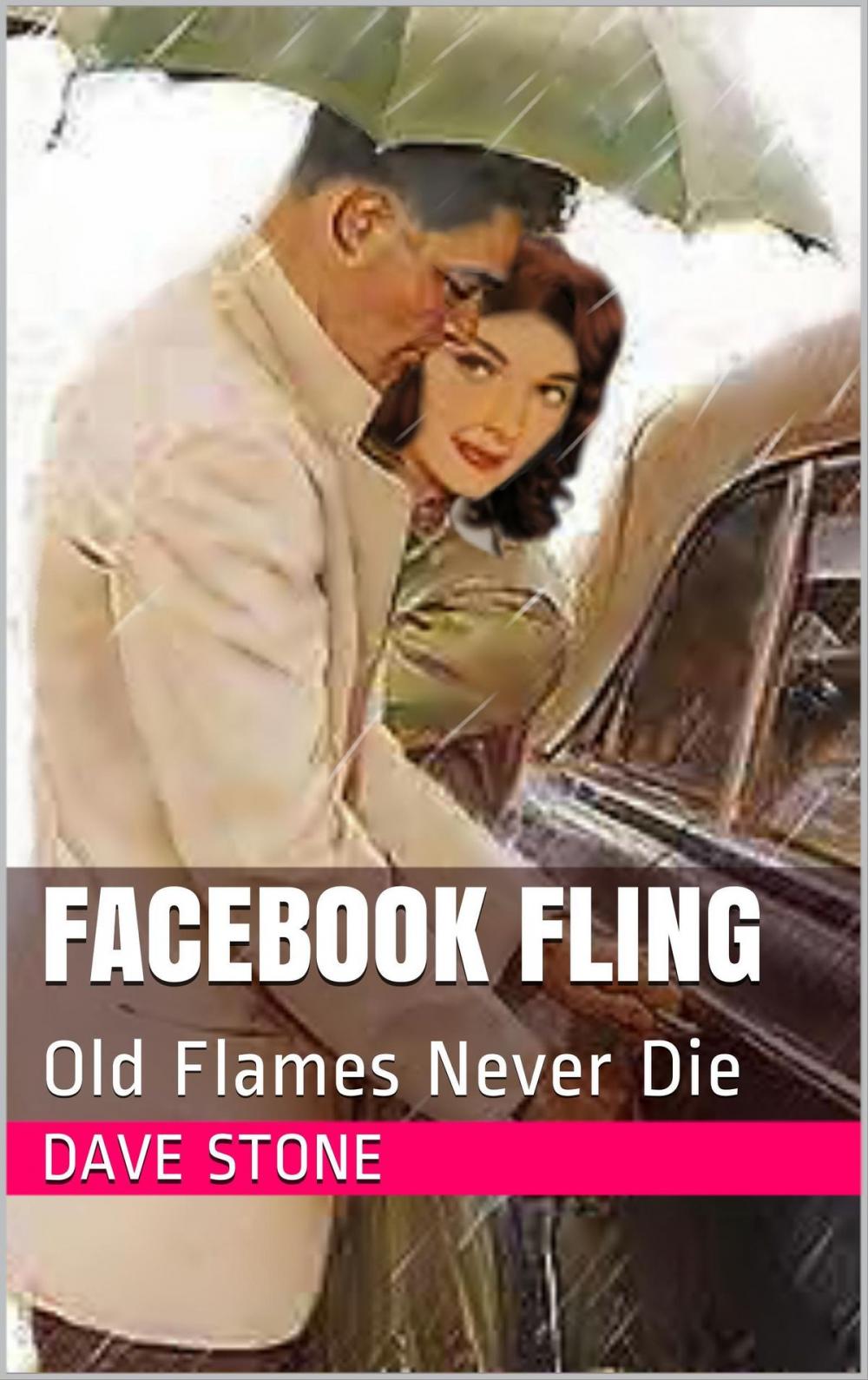 Big bigCover of Facebook Fling