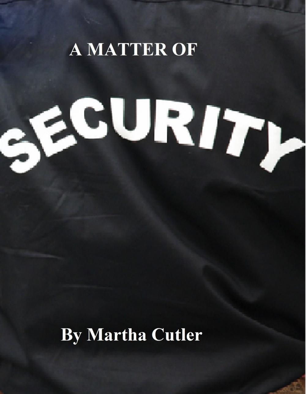 Big bigCover of A Matter of Security