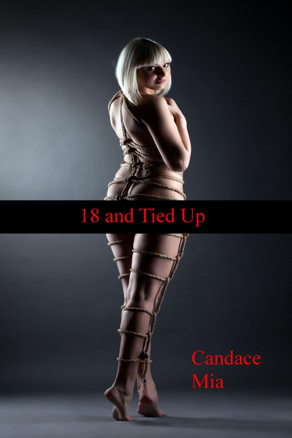 Big bigCover of 18 and Tied Up: Story 26 of the 18 Collection