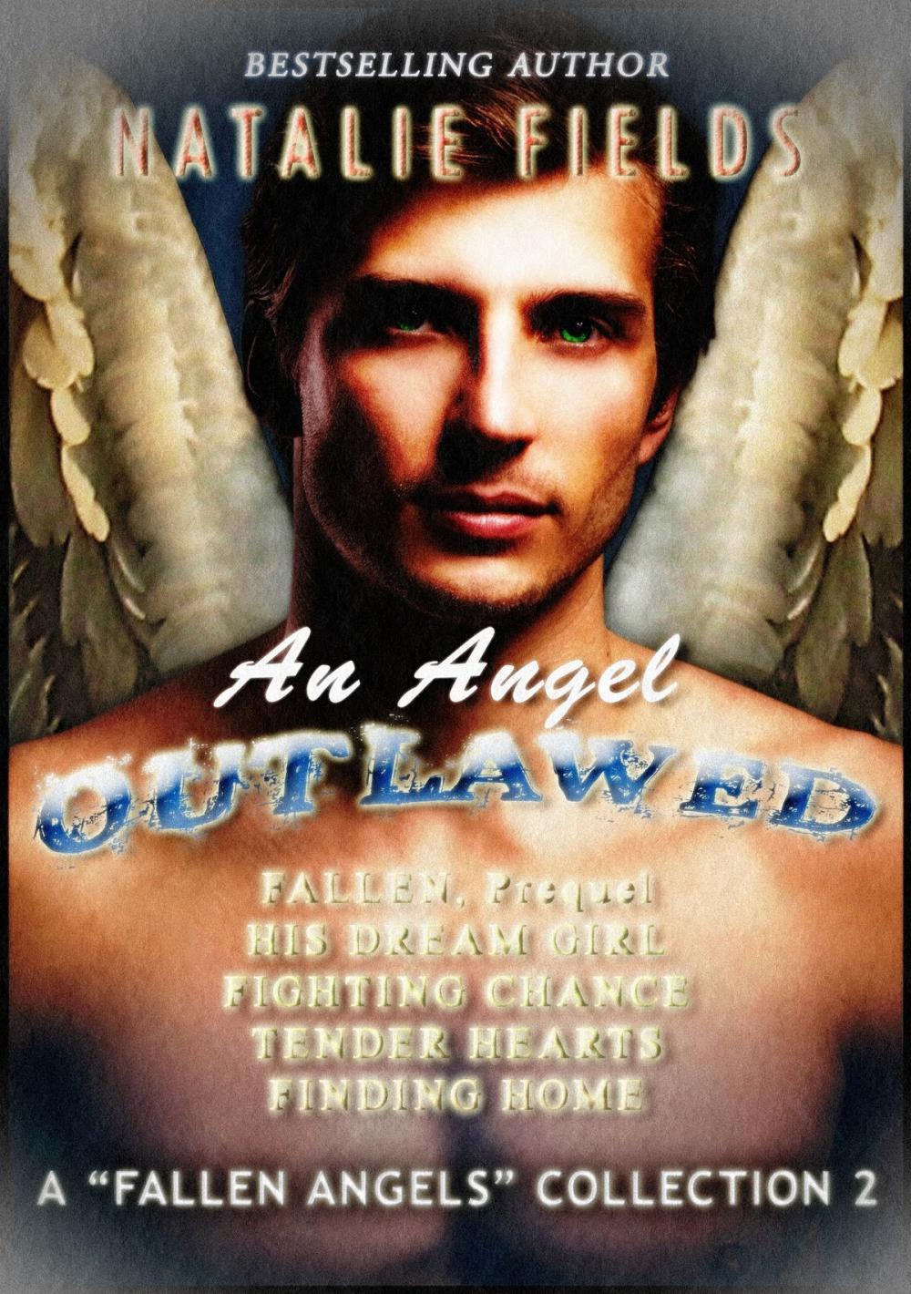 Big bigCover of An Angel Outlawed, Complete Collection