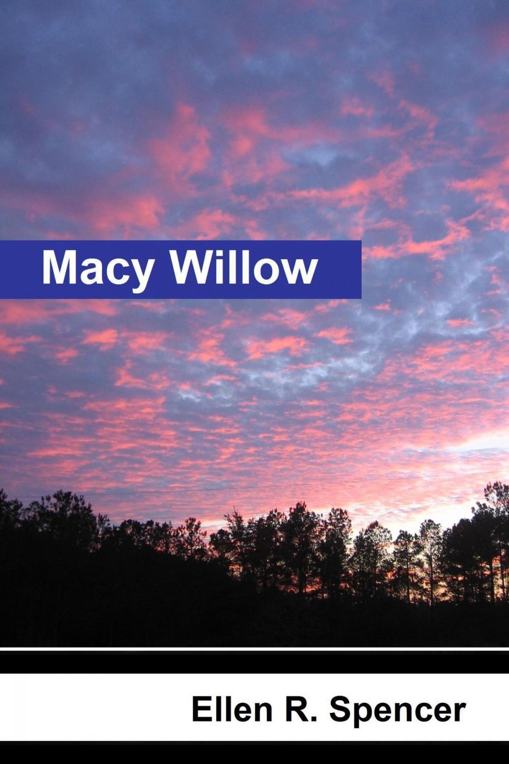 Big bigCover of Macy Willow