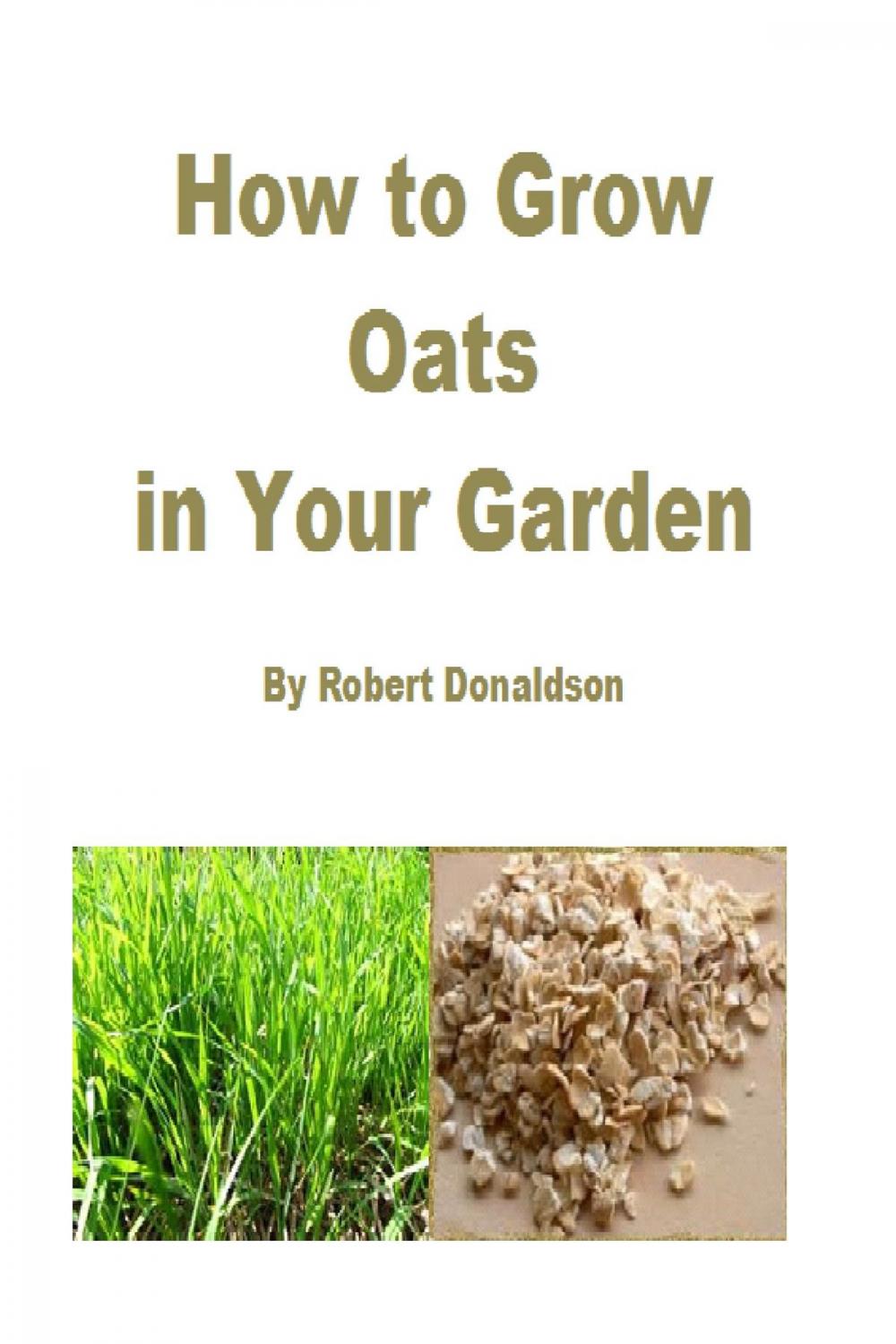 Big bigCover of How to Grow Oats in Your Garden