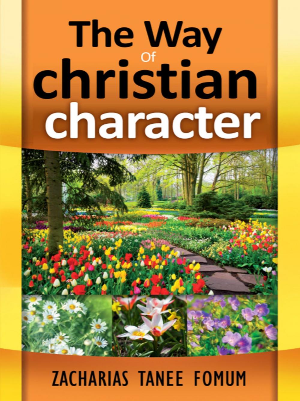 Big bigCover of The Way Of Christian Character