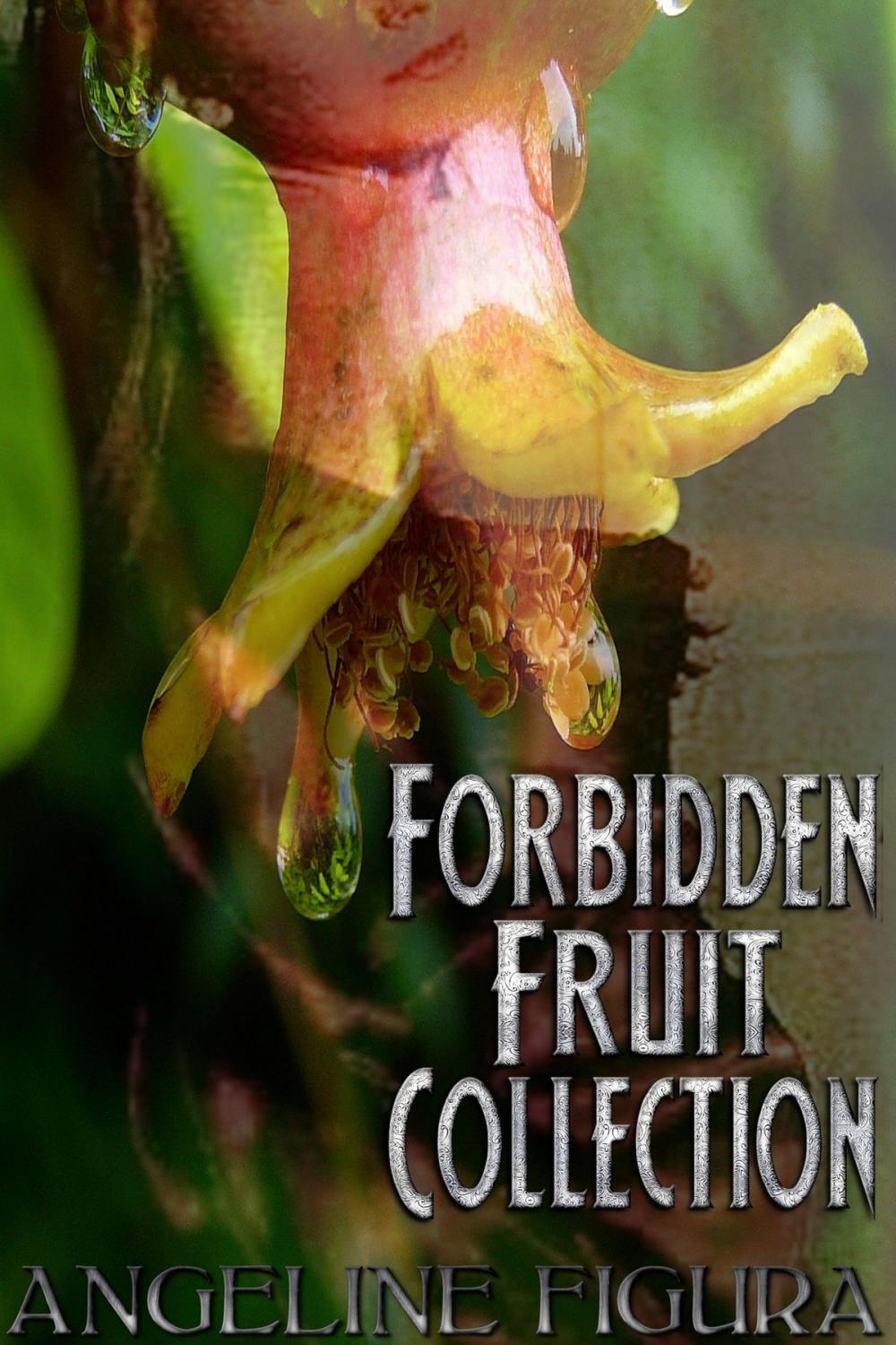 Big bigCover of Forbidden Fruit Collection (Taboo Erotica Anthology Trilogy Bundle)