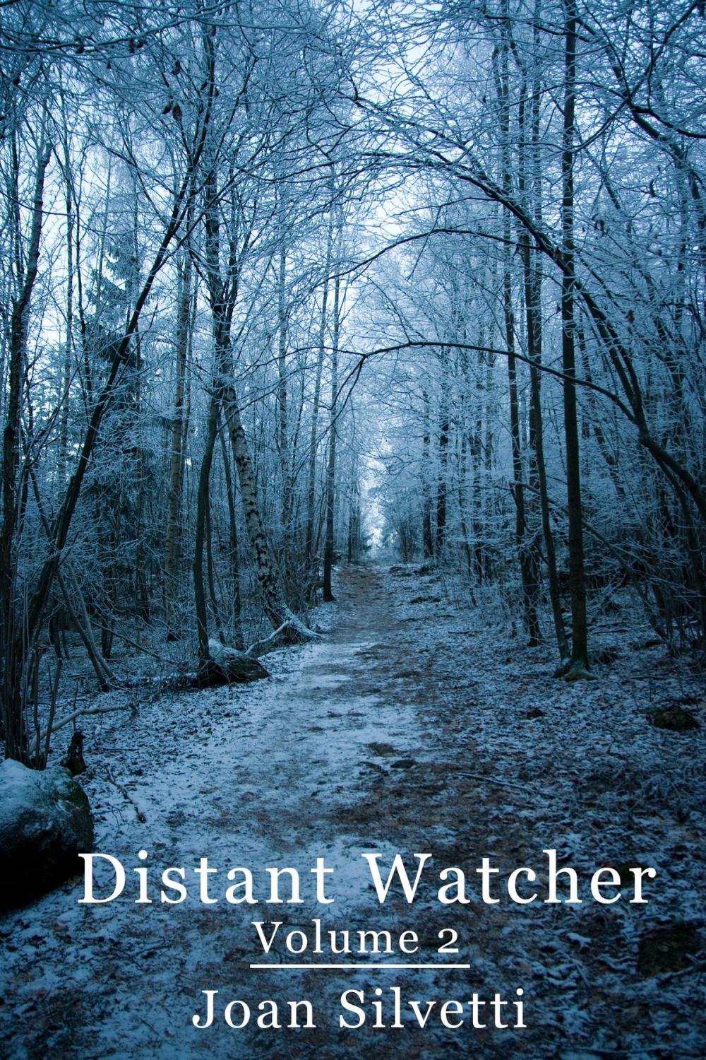 Big bigCover of Distant Watcher: Volume 2