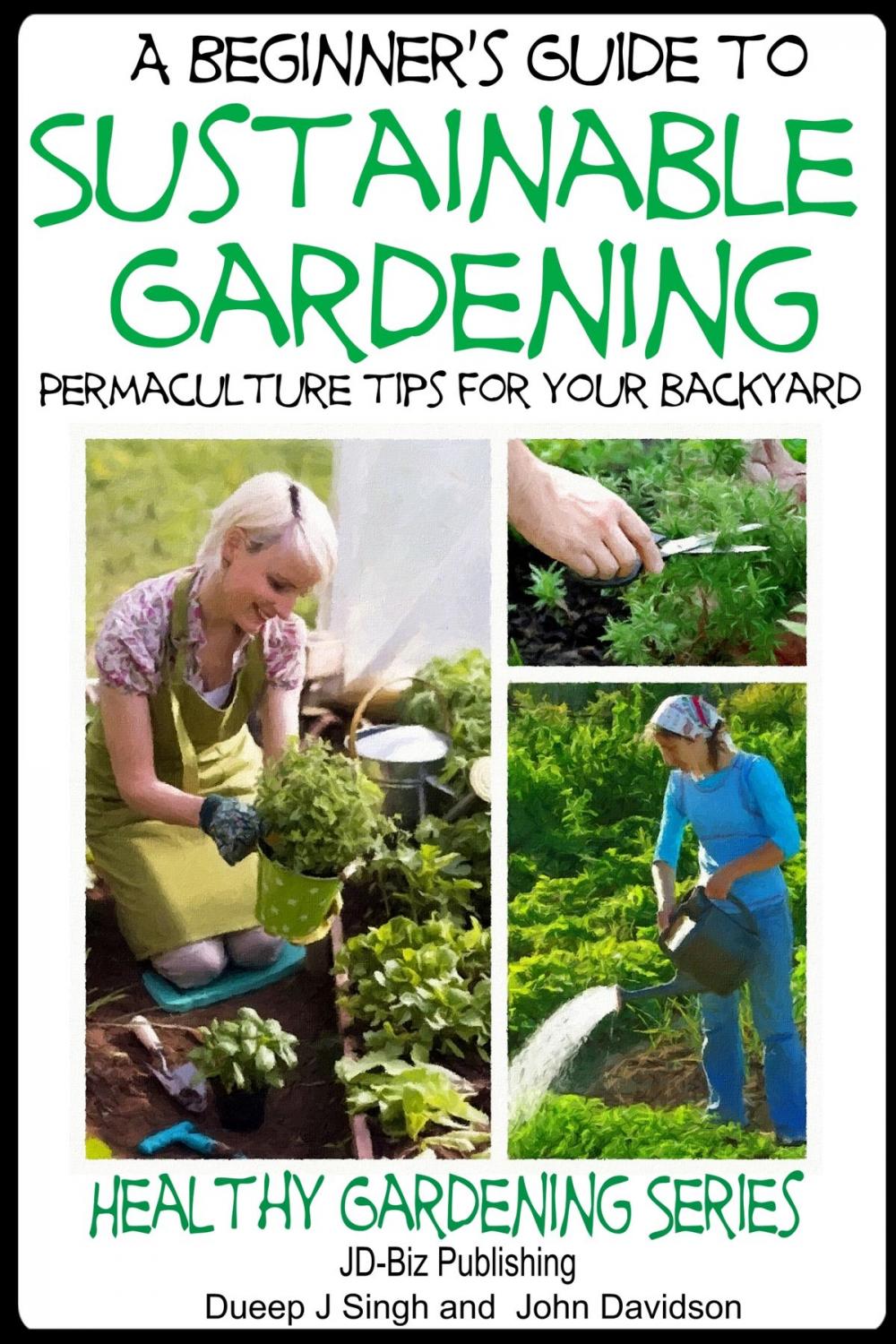 Big bigCover of A Beginner’s Guide to Sustainable Gardening