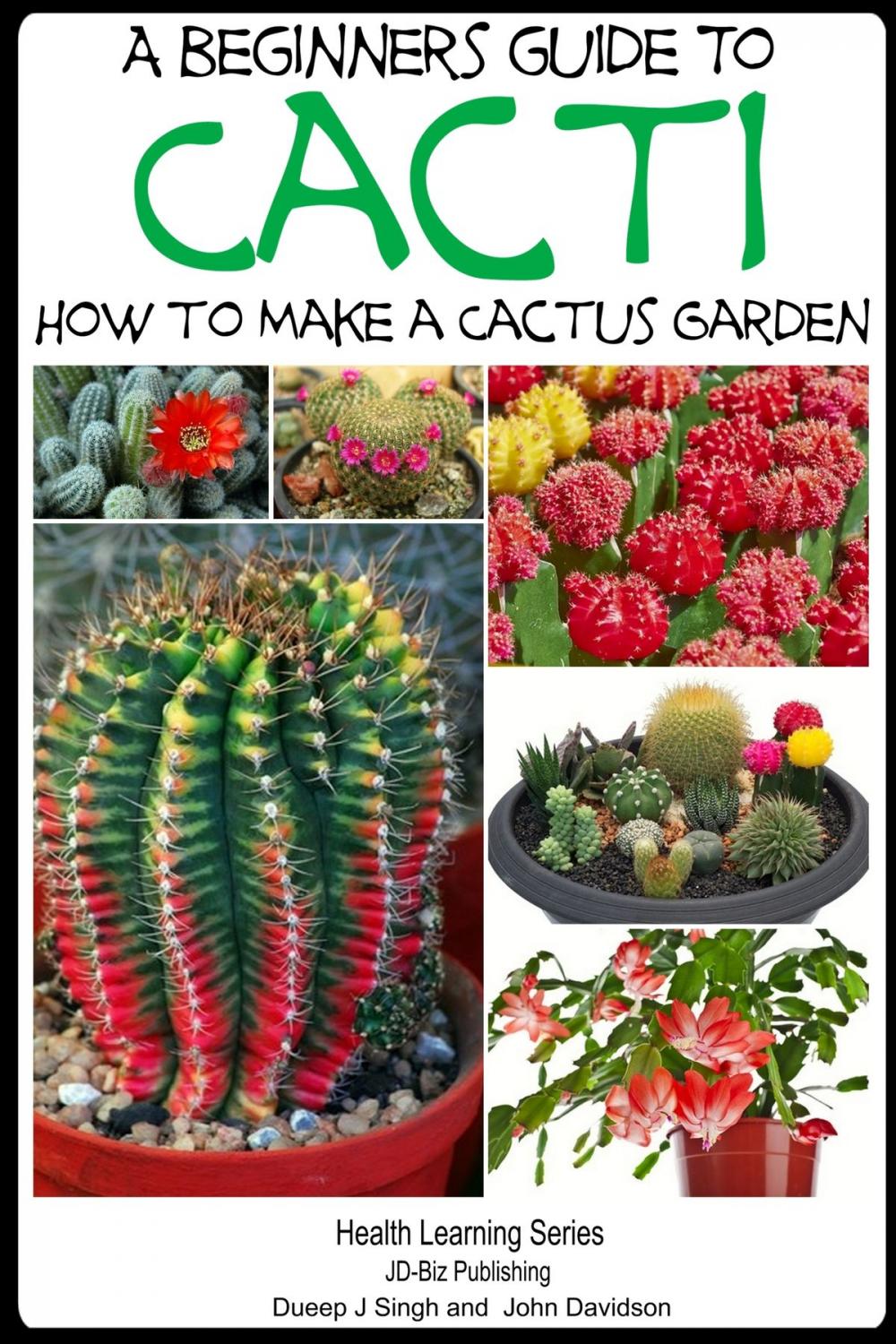 Big bigCover of A Beginner’s Guide to Cacti: How to Make a Cactus Garden