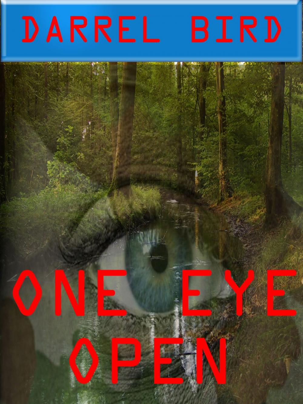 Big bigCover of One Eye Open