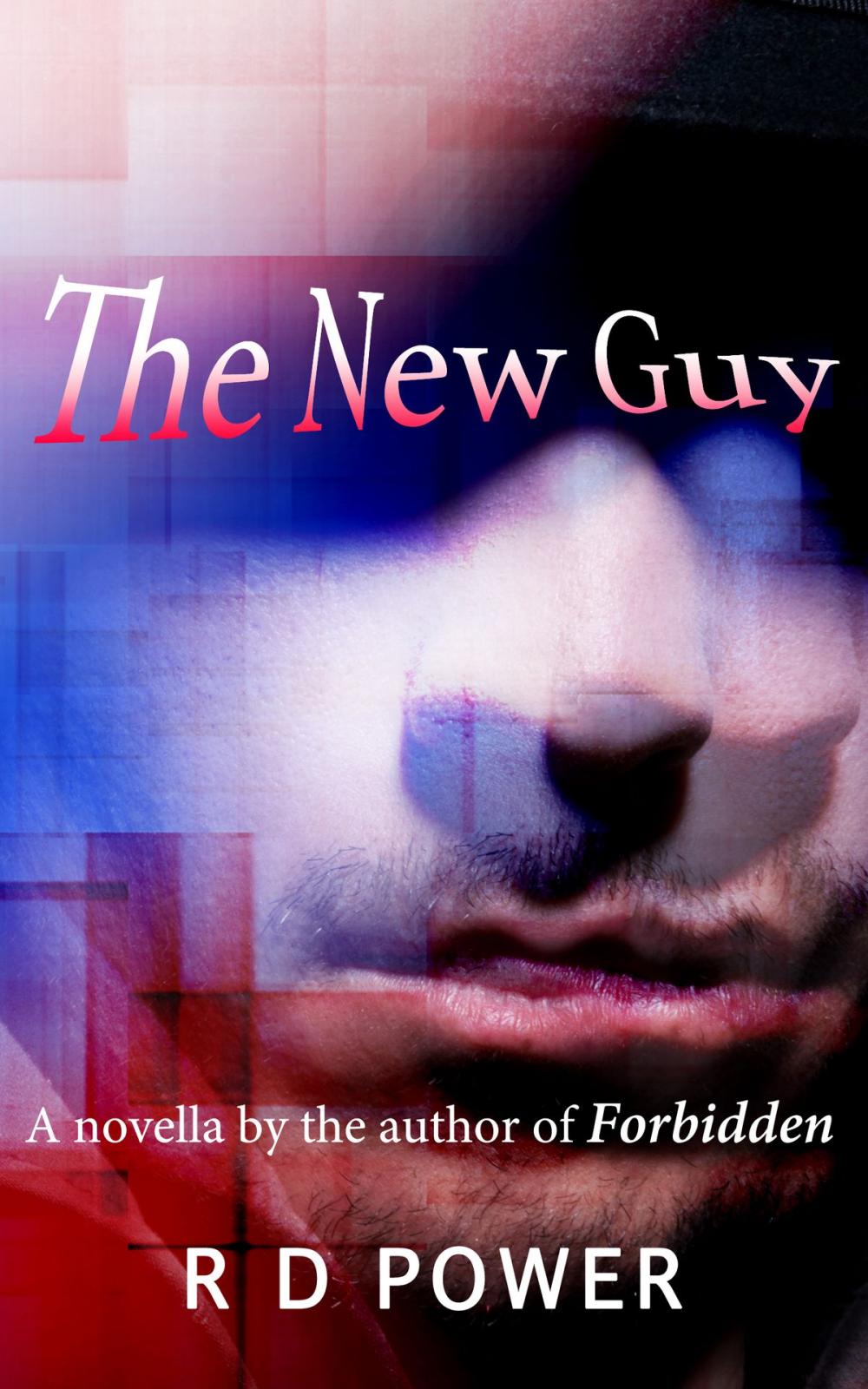 Big bigCover of The New Guy