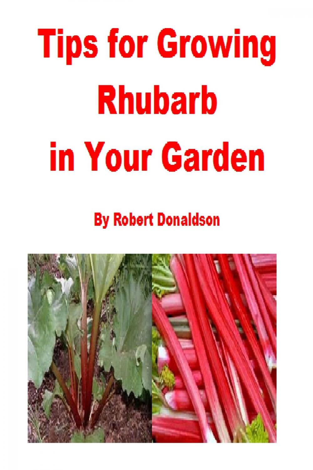 Big bigCover of Tips for Growing Rhubarb in Your Garden