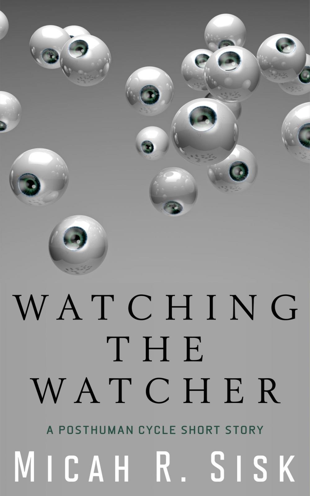 Big bigCover of Watching the Watcher