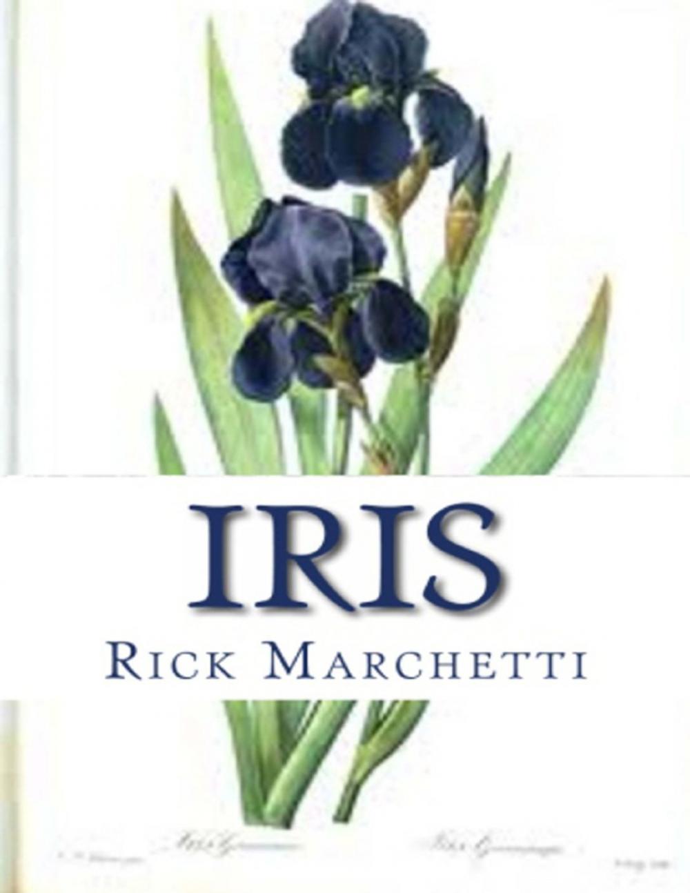 Big bigCover of Iris