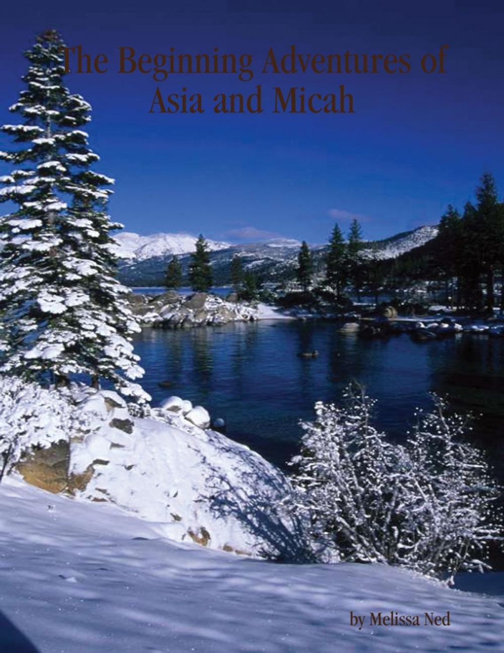 Big bigCover of The Beginning Adventures of Asia and Micah