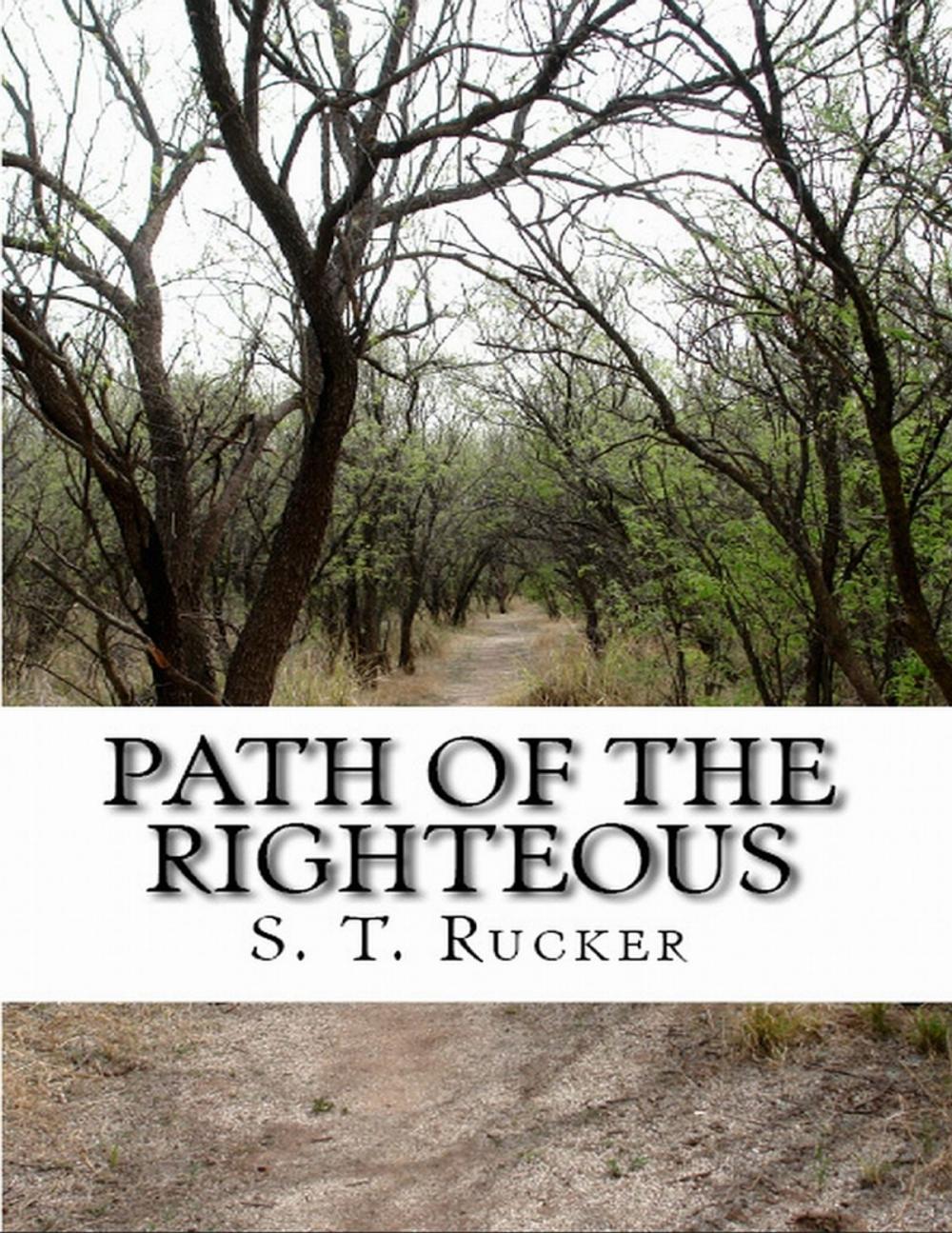 Big bigCover of Path of the Righteous