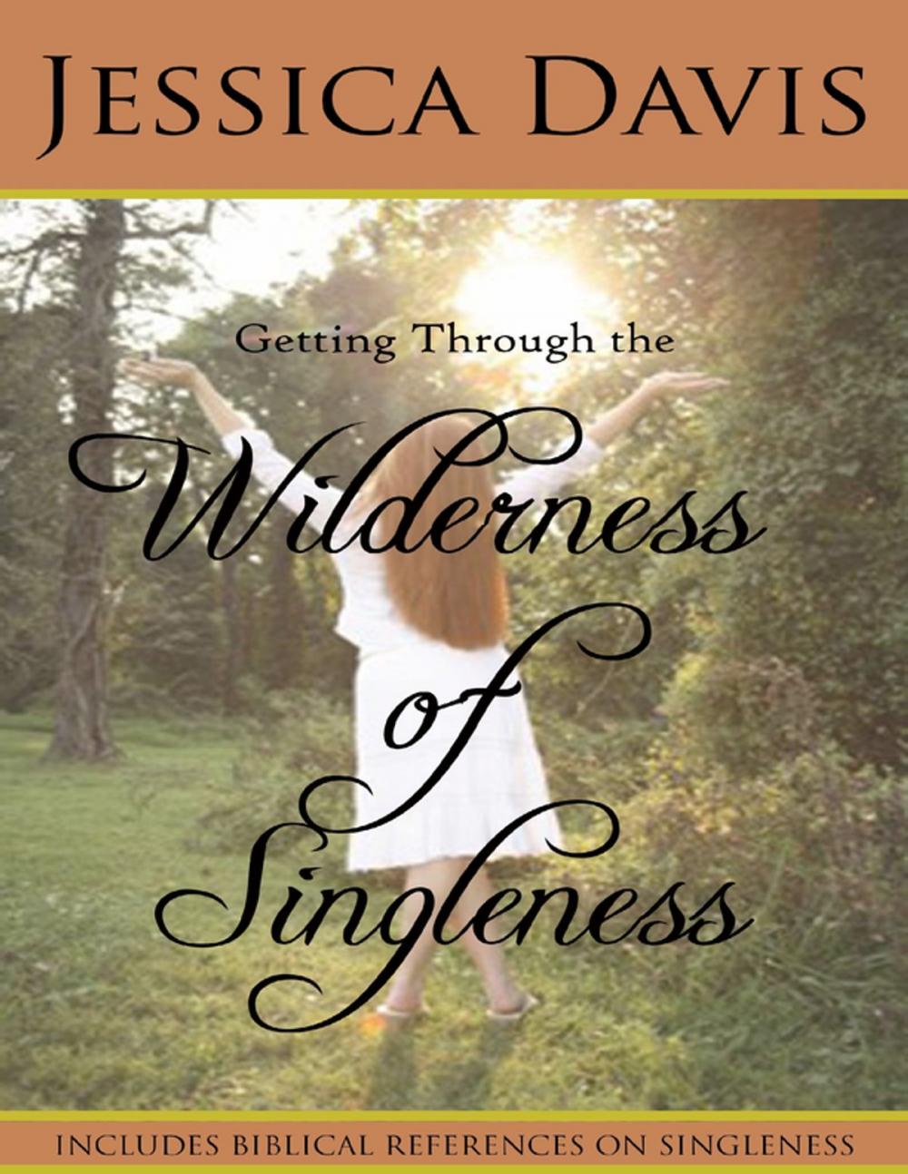 Big bigCover of Getting Through the Wilderness of Singleness