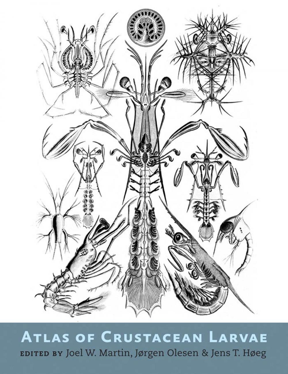 Big bigCover of Atlas of Crustacean Larvae