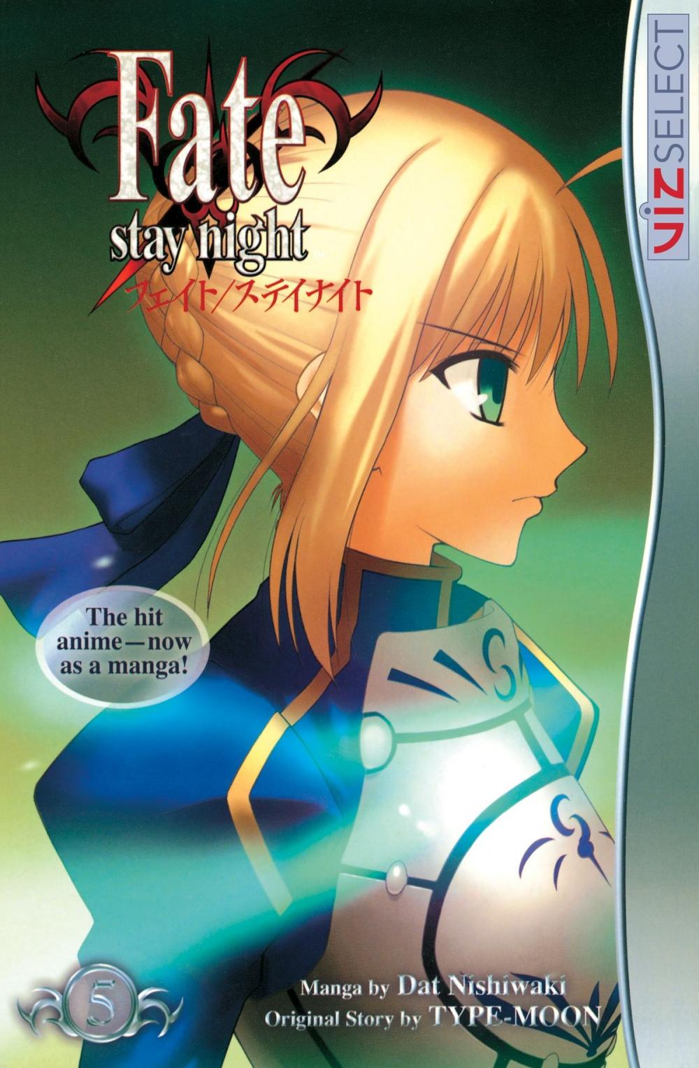 Big bigCover of Fate/stay night, Vol. 5