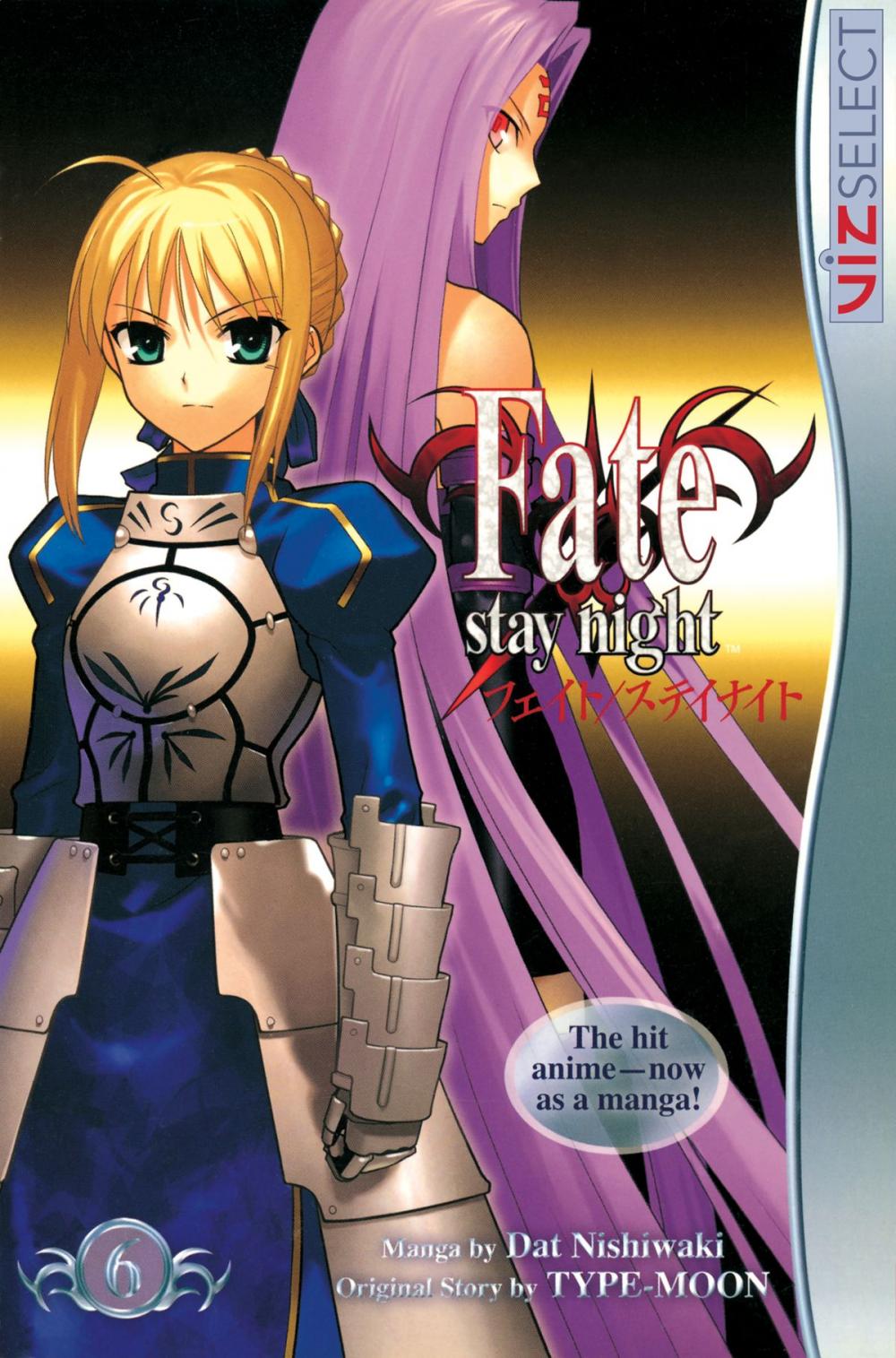 Big bigCover of Fate/stay night, Vol. 6