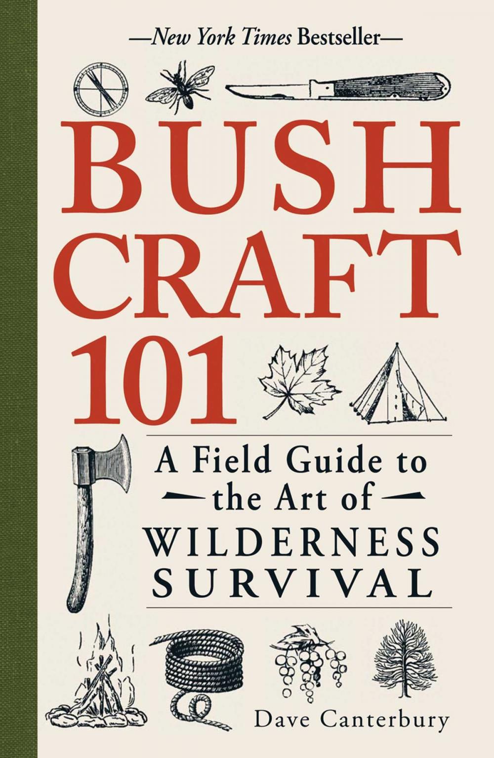 Big bigCover of Bushcraft 101