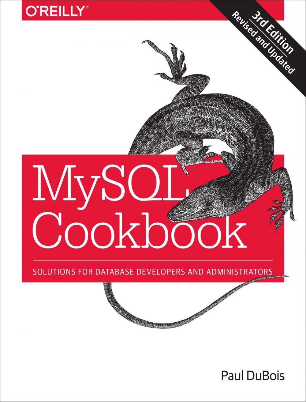 Big bigCover of MySQL Cookbook